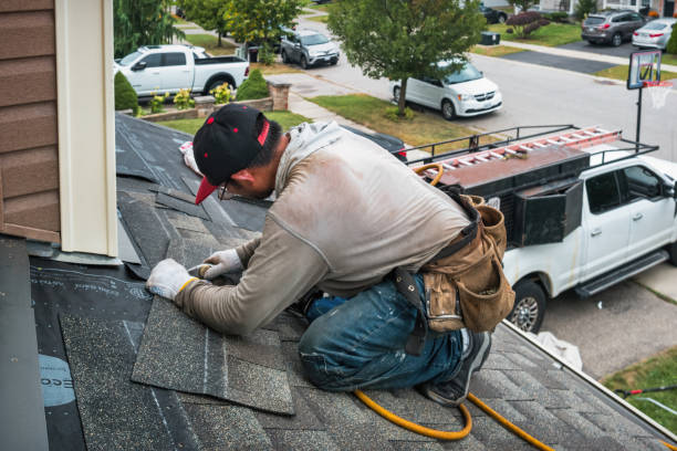 Professional Roof Replacement technician working in Tamaqua, PA